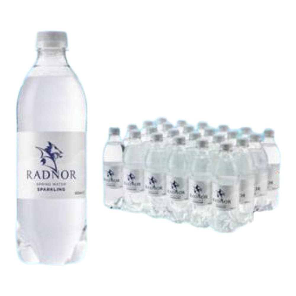 Product display banner for Radnor Premium Welsh Sparkling Water showing a single 500ml bottle on the left and a multi-pack arrangement of 24 bottles against a bright blue water background with branding and product details.