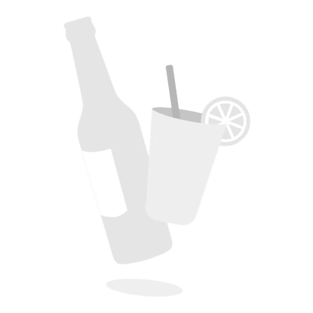 Grayscale illustration showing two beer or beverage bottles with a cocktail glass garnished with a lime slice on a plain white background.