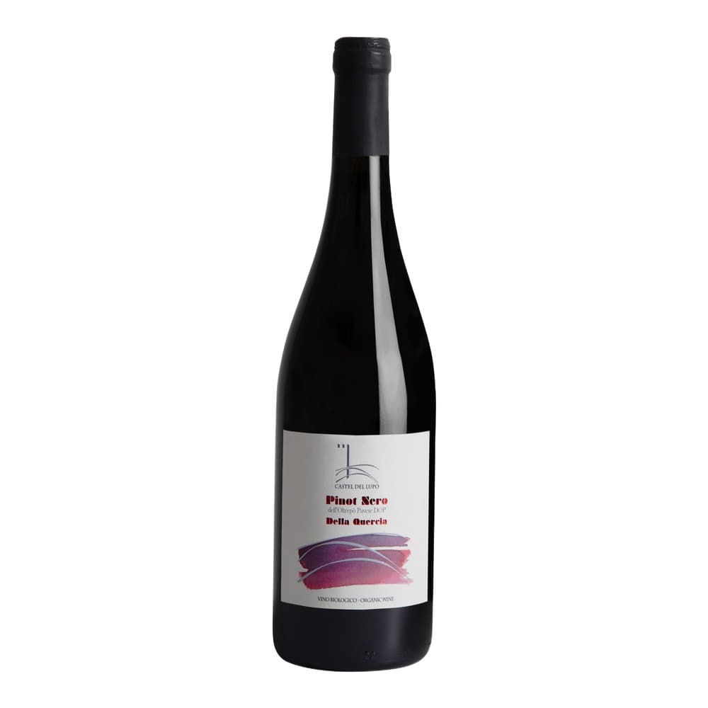 A bottle of Castel del Upo Pinot Nero della Quercia red wine with white label and black capsule, positioned against a plain white background.