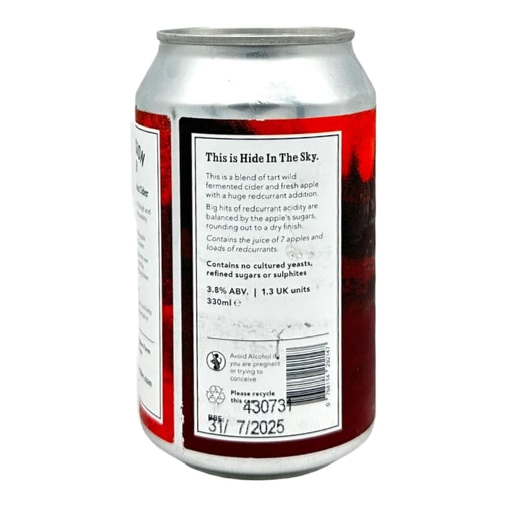 A 330ml aluminium can of Hide In The Sky fermented cider with red and black label design on a plain white background